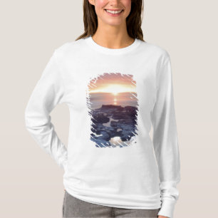 T-shirt États-Unis, Californie, San Diego. Marée des Sunse