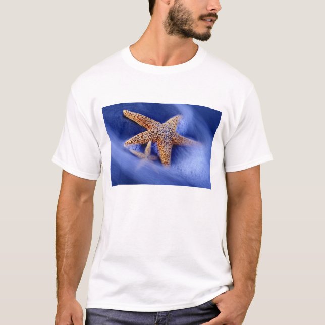 T-shirt États-Unis, Caroline du Sud, île de Hilton Head. D (Devant)