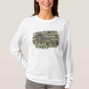 T-shirt États-Unis, Colorado, Camomille sauvage autour d'u