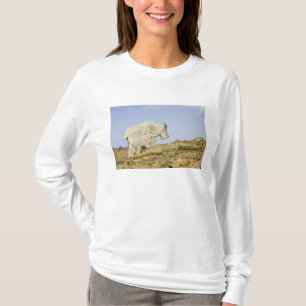 T-shirt États-Unis, Colorado, Rocheuses, Mont Evans,