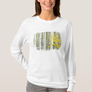 T-shirt États-Unis, Colorado, White River National Forest,