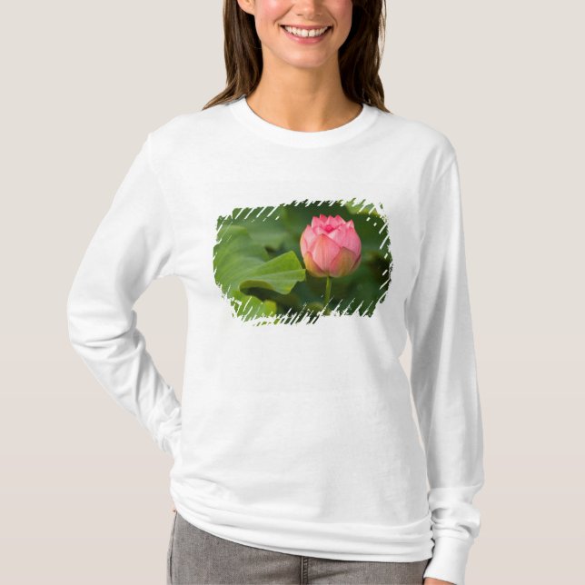 T-shirt États-Unis, DC, Washington, Kenilworth (Devant)