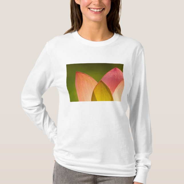 T-shirt États-Unis, DC, Washington, Kenilworth 3 (Devant)