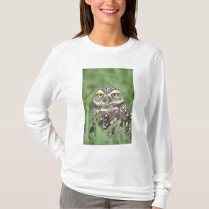 T-shirt États-Unis, Floride, Cape Coral, Chevêche des terr