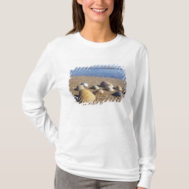 T-shirt États-Unis, Floride, coquillages côtiers (Devant)