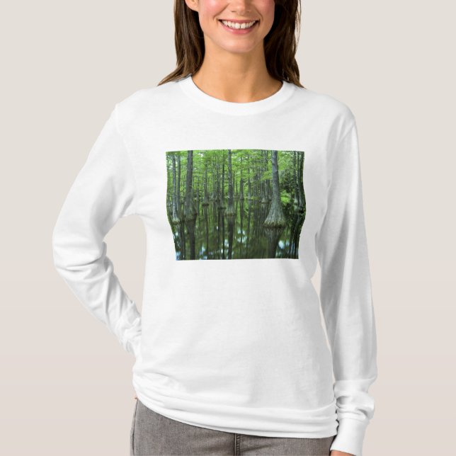 T-shirt États-Unis, Floride, Forêt nationale d'Apalachicol (Devant)