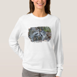 T-shirt États-Unis, Floride, Sanibel, Ding Darling Nationa