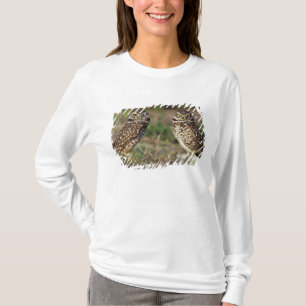 T-shirt États-Unis, Floride, Sanibel Island. Gros plan de
