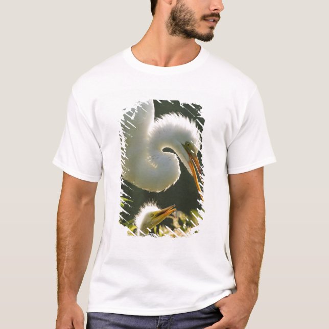 T-shirt États-Unis, Floride, St. Augustine, Ferme aux alli (Devant)
