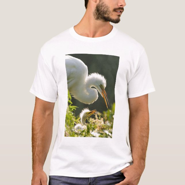 T-shirt États-Unis, Floride, St. Augustine, Ferme de croco (Devant)