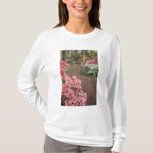 T-shirt États-Unis, Géorgie, Pine Mountain. Un chemin à tr