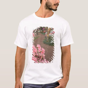 T-shirt États-Unis, Géorgie, Pine Mountain. Un chemin à tr