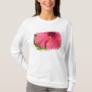 T-shirt États-Unis, Hawaï, Kauai, Hibiscus