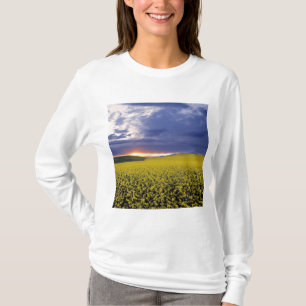 T-shirt États-Unis, Idaho, vallée du Swan. Un coucher de