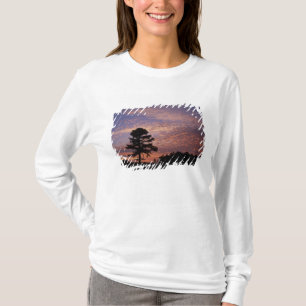 T-shirt États-Unis, Kentucky, Cumberland Gap National
