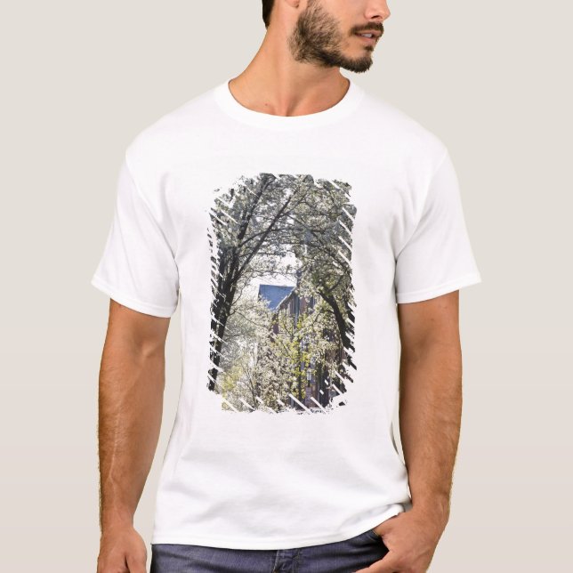 T-shirt États-Unis, Massachusetts, Boston, Beacon Hill. (Devant)