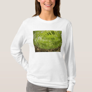 T-shirt États-Unis, Minnesota, North Shore Lake Superior,