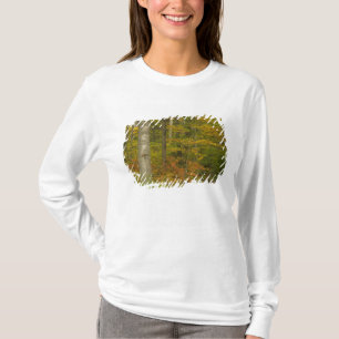 T-shirt États-Unis, New Hampshire, Livermore, White Mounta