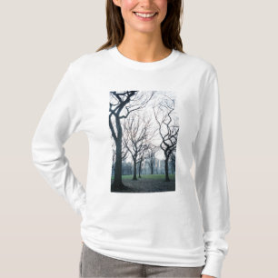 T-shirt États-Unis, New York, New York City : Central Park