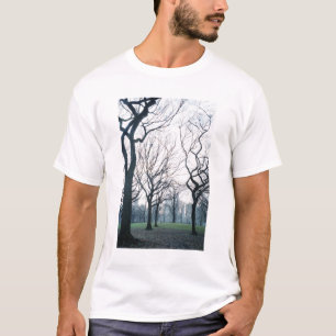 T-shirt États-Unis, New York, New York City : Central Park