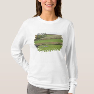 T-shirt États-Unis, nord-est de l'Ohio. Buggy amish dans u