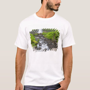 T-shirt États-Unis, Oregon, Columbia River Gorge, Latourel