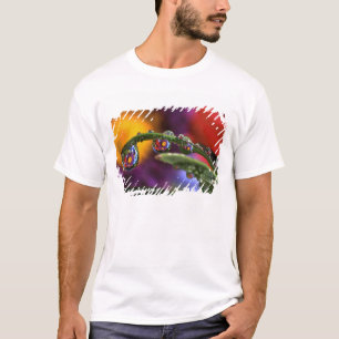 T-shirt États-Unis, Oregon, Gros plan abstrait de pourpre