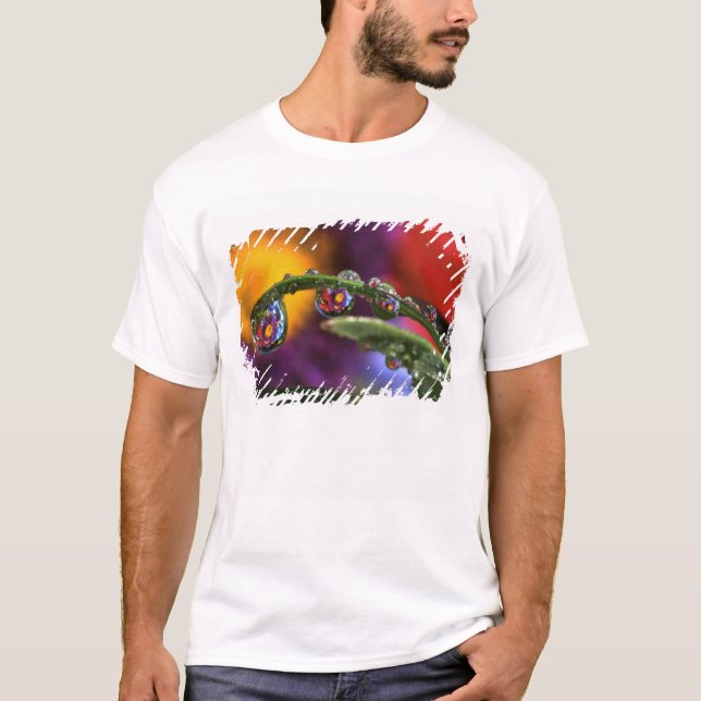 T-shirt États-Unis, Oregon, Gros plan abstrait de pourpre (Devant)