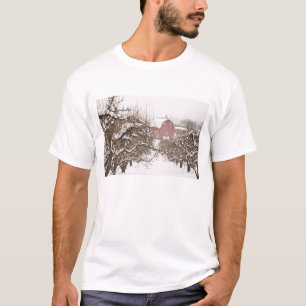 T-shirt États-Unis, Oregon, Hood River. Pomme à neige