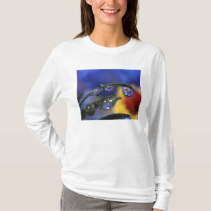 T-shirt États-Unis, Oregon, Portland, Gros plan de coccine