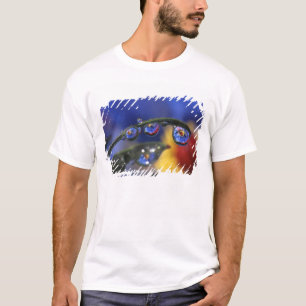 T-shirt États-Unis, Oregon, Portland, Gros plan de coccine