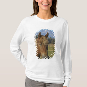 T-shirt États-Unis, Oregon, Sœurs, vue sur Three Sisters,