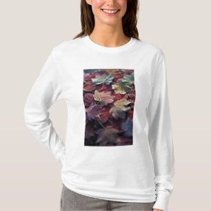 T-shirt États-Unis, Pacifique Nord-Ouest. Feuilles d'érabl