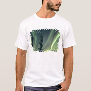 T-shirt États-Unis, région de Fairbanks, centre de l'Alask