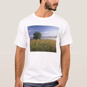 T-shirt États-Unis, Tennessee. Grandes montagnes fumées