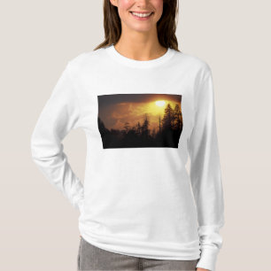 T-shirt États-Unis, Tennessee, Great Smoky Mountains NP. 2