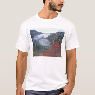 T-shirt États-Unis, Tennessee, Parc national des Great Smo