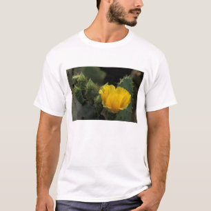 T-shirt États-Unis, Texas, Cactus d'opuntia en fleurs.