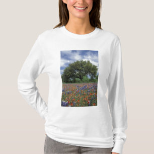 T-shirt États-Unis, Texas, Marble Falls Paintbrush et