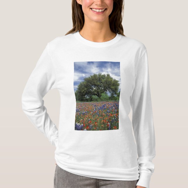 T-shirt États-Unis, Texas, Marble Falls Paintbrush et (Devant)