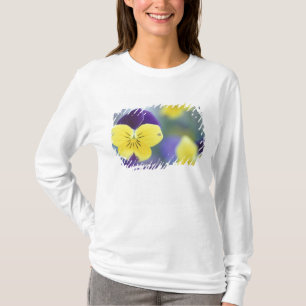 T-shirt États-Unis, Utah, Cache Valley Détail d'un Johnny 