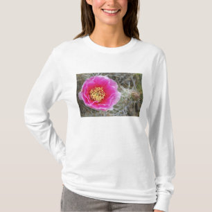 T-shirt États-Unis, Utah, Canyonlands NP, Figue de Barbari
