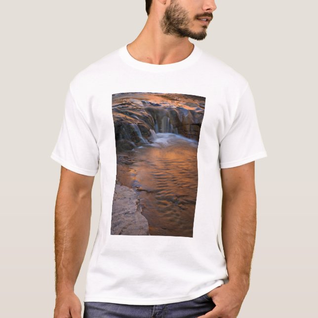 T-shirt États-Unis, Utah, Escalante Wilderness. Cascade da (Devant)