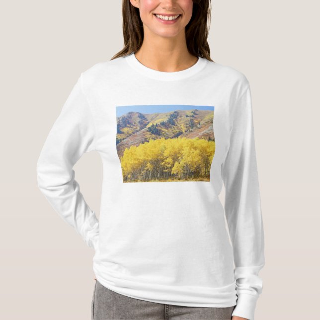 T-shirt États-Unis, Utah, Forêt nationale de Wasatch-Cache (Devant)