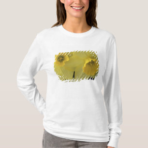 T-shirt États-Unis, Utah, jonquilles de Cache Valley