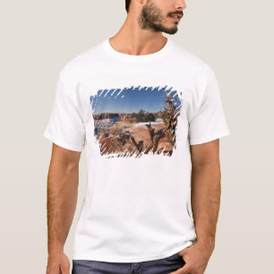 T-shirt États-Unis, Utah, Moab. Parc national de Canyonlan