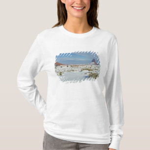 T-shirt États-Unis, Utah, Monument Valley. L'armoise appar