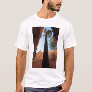 T-shirt États-Unis, Utah, Parc national de Bryce Canyon. H