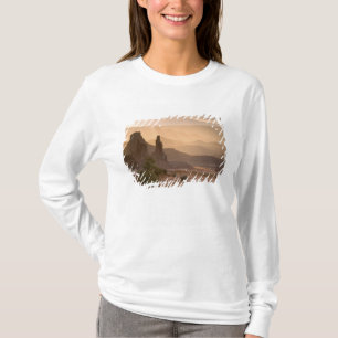T-shirt États-Unis; Utah; Parc national de Canyonlands. Vu