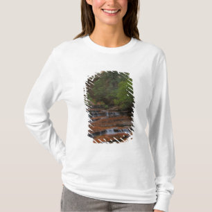 T-shirt États-Unis, Utah, parc national de Zion. Paysage